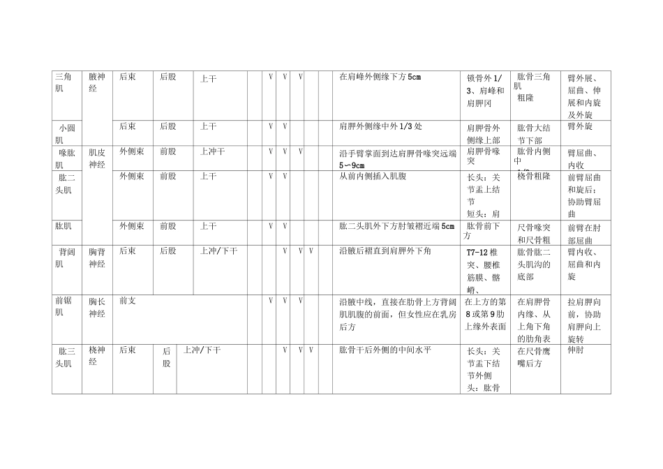 肌肉神经支配_第2页