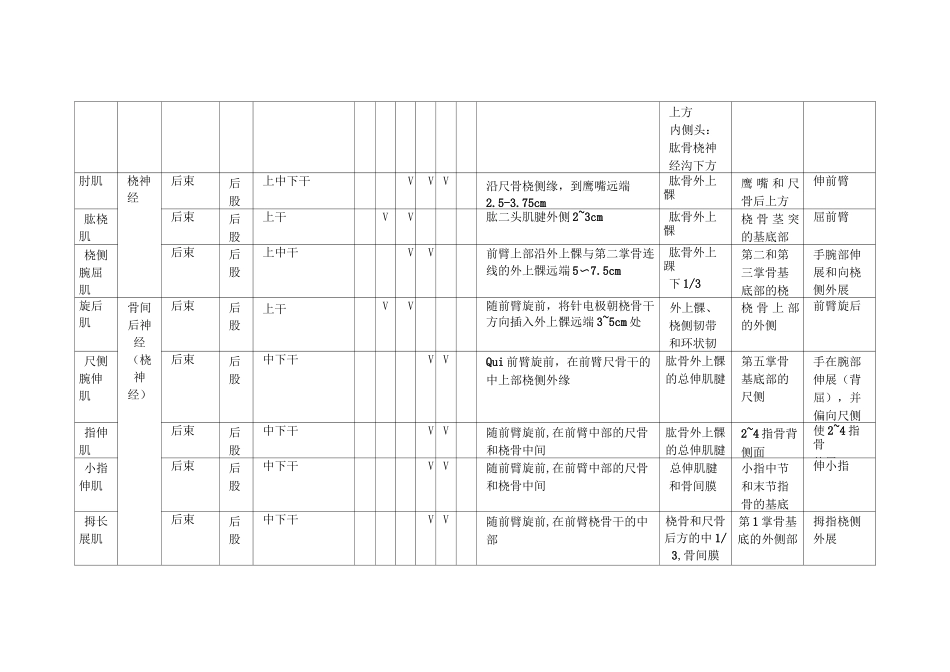 肌肉神经支配_第3页