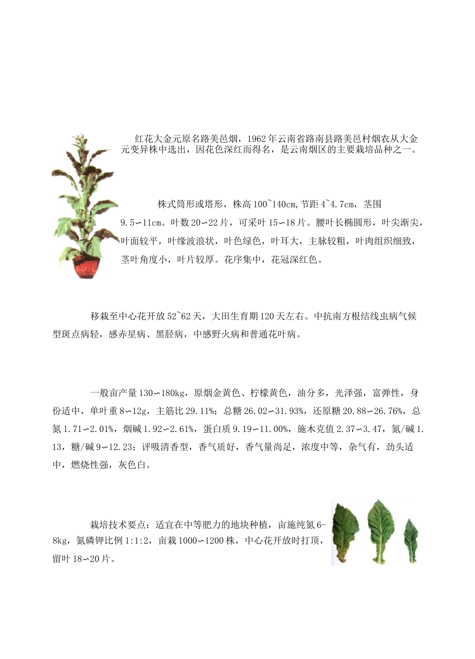 烤烟品种介绍修订版_第2页