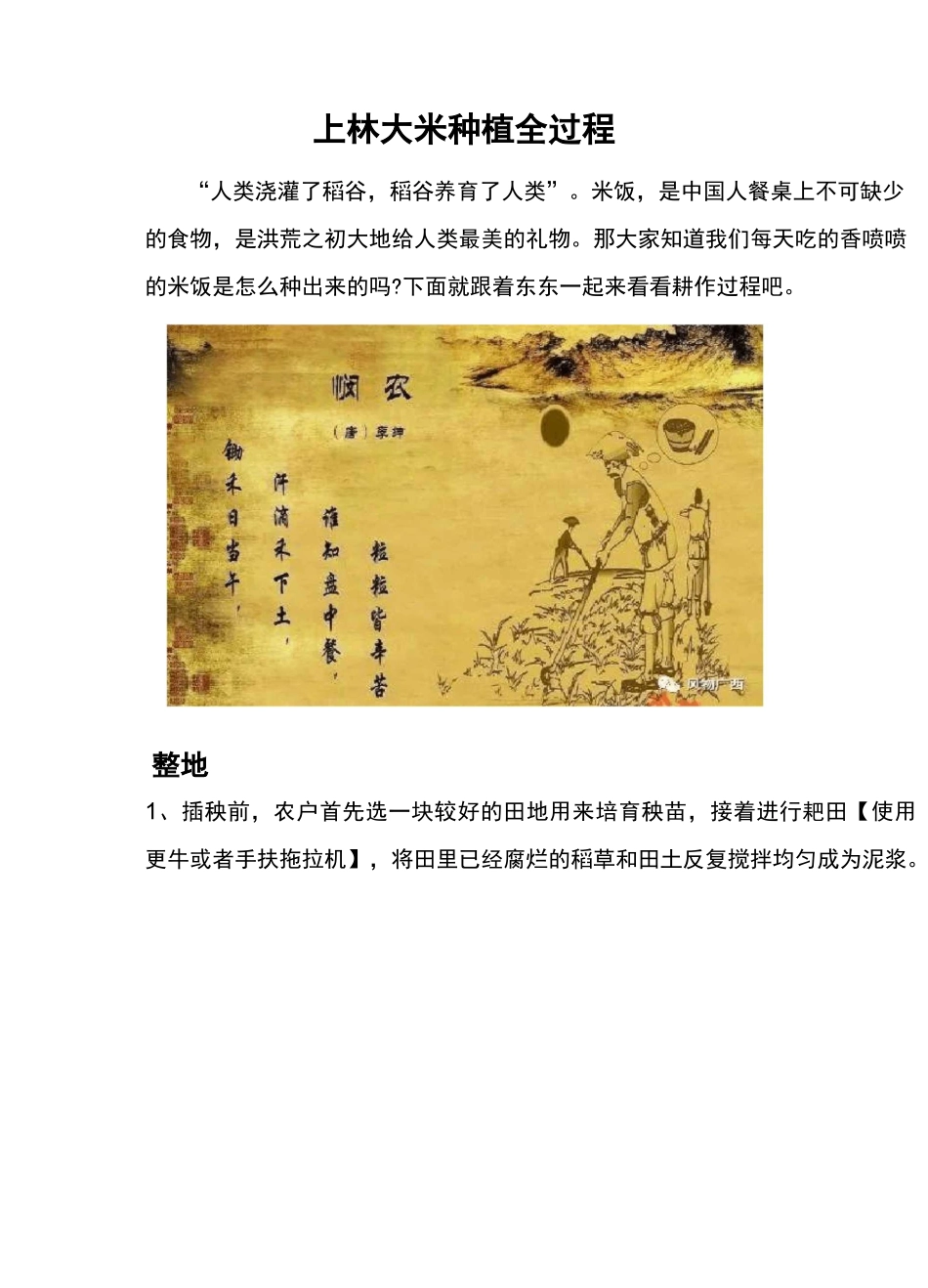 大米种植全过程,长知识了!_第1页