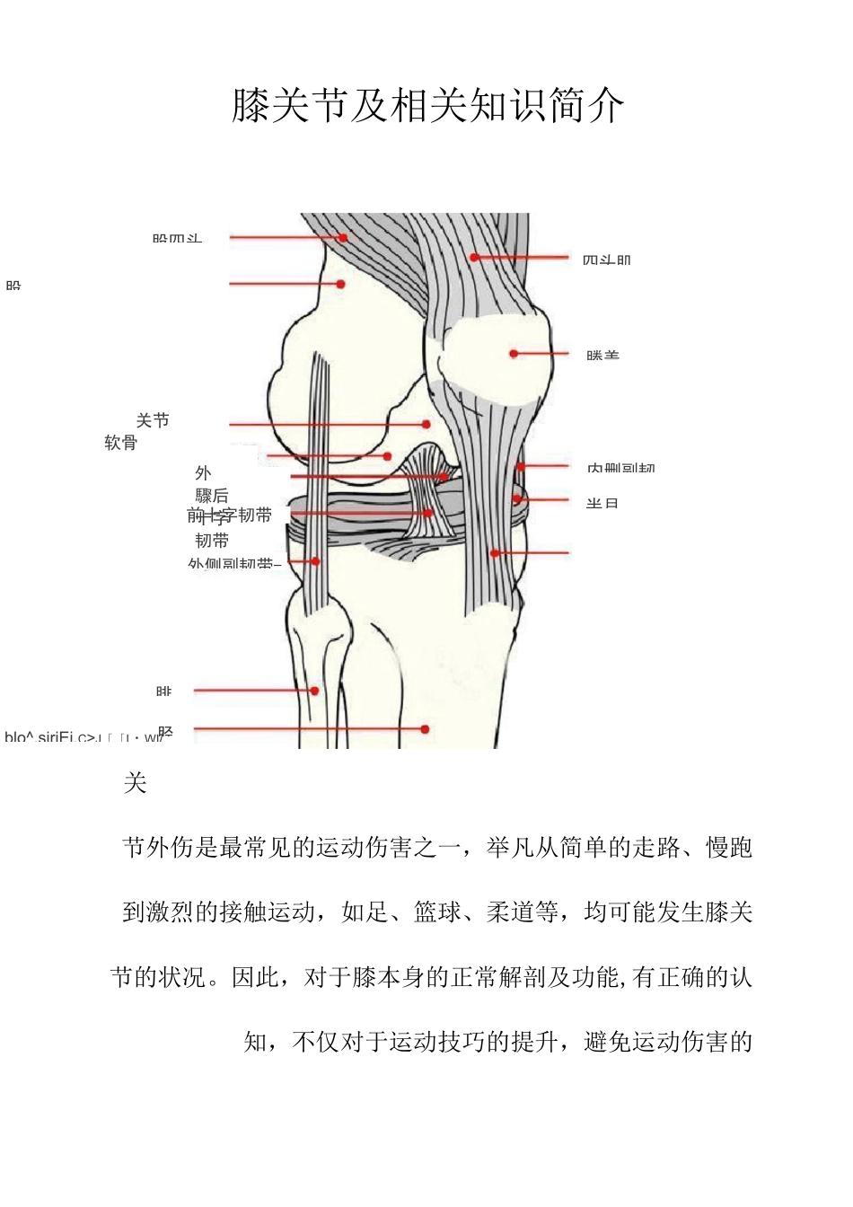 膝关节与相关知识简介_第1页