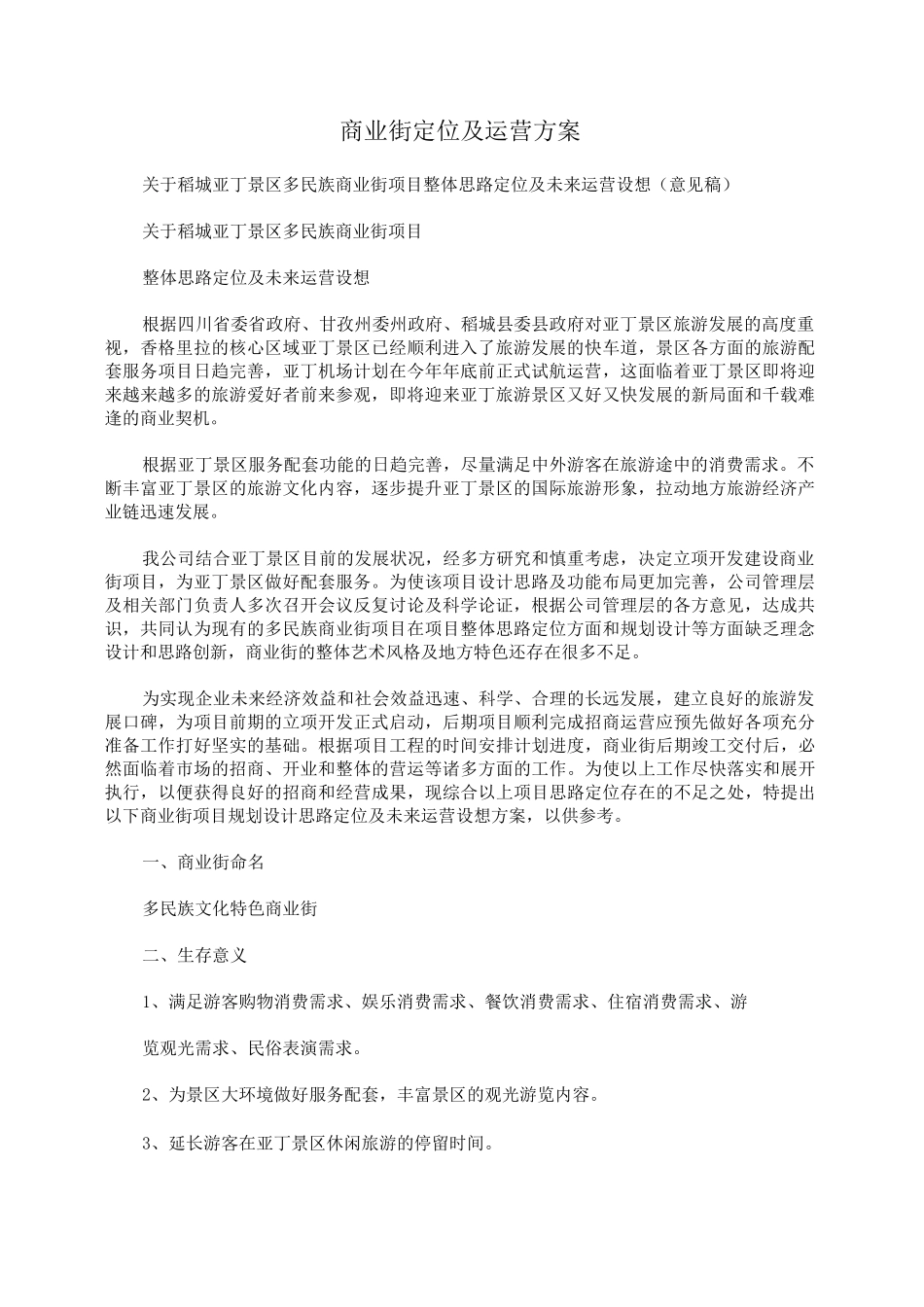 商业街定位及运营方案模板_第1页