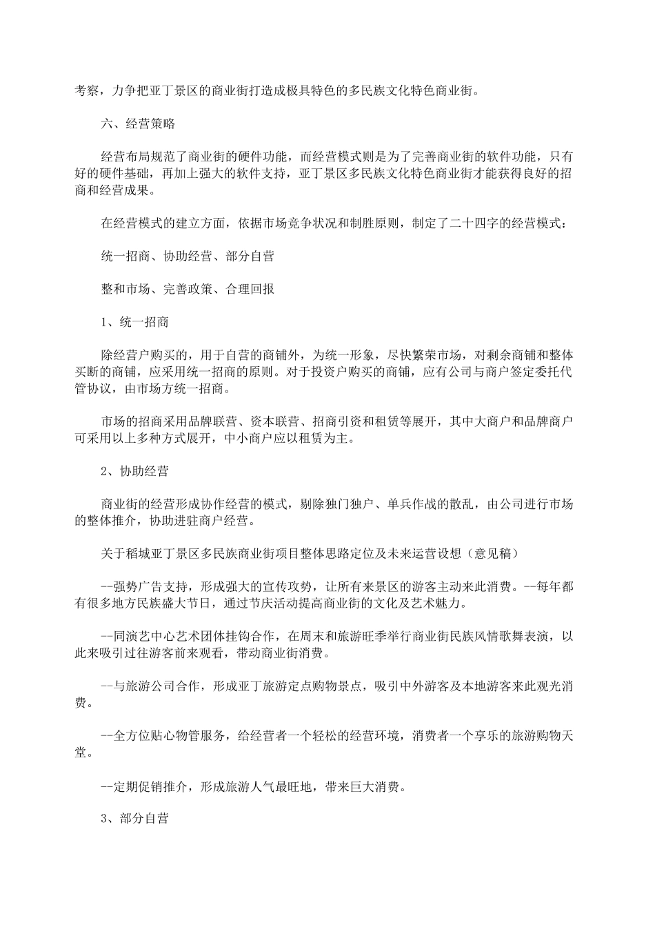 商业街定位及运营方案模板_第3页