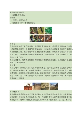 葡萄酒(果酒类)品酒师培训资料汇总