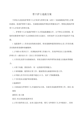骨干护士选拔方案
