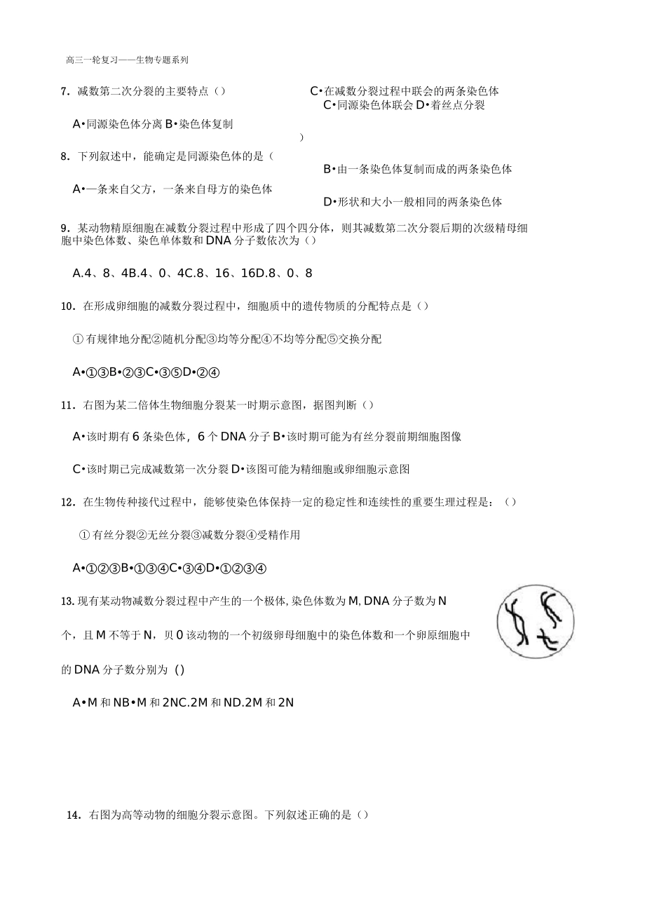 减数分裂经典习题_第2页