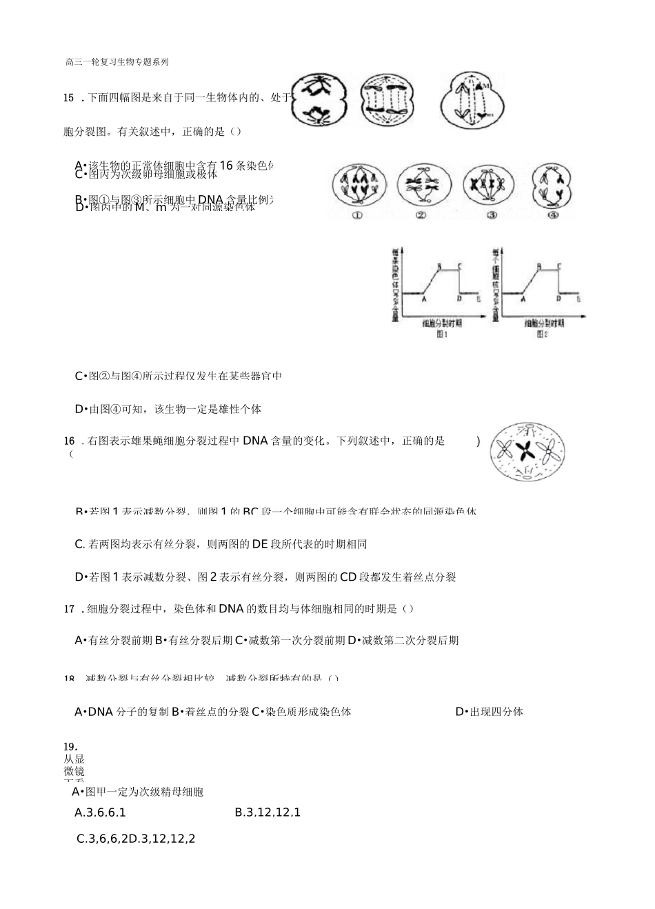 减数分裂经典习题_第3页