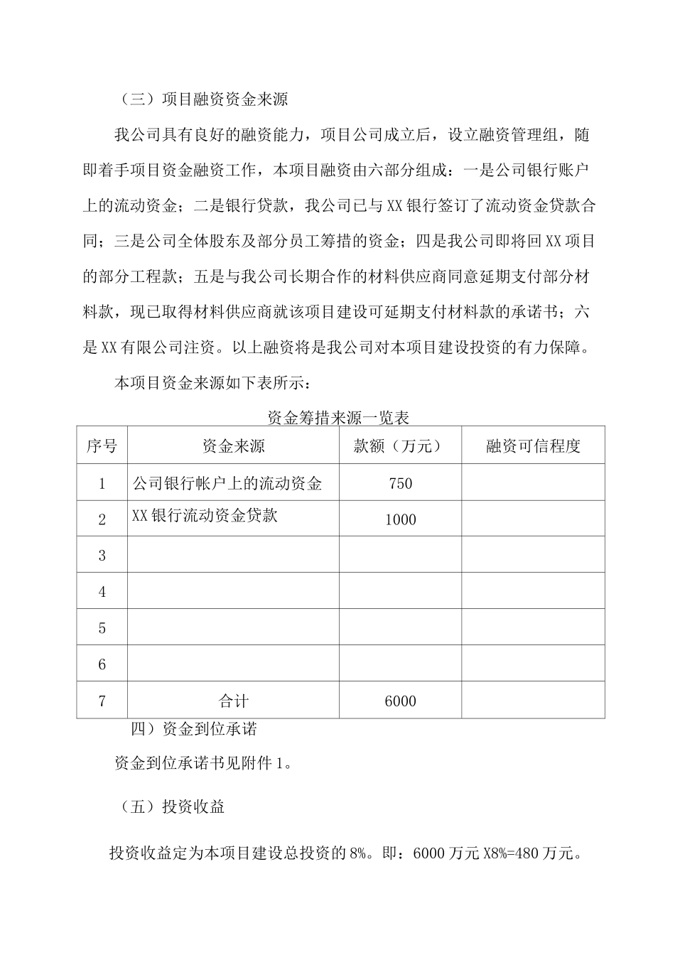 项目申报资金筹措方案_第3页