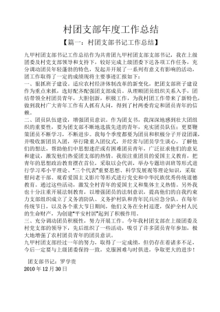 村团支部年度工作总结