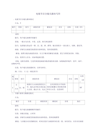 电视节目分镜头脚本写作