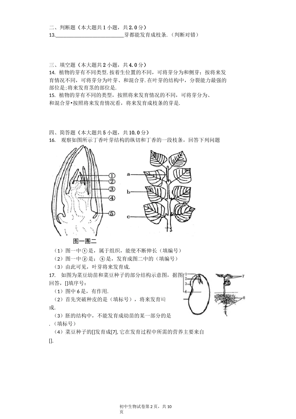 芽的发育 习题(含答案)_第2页