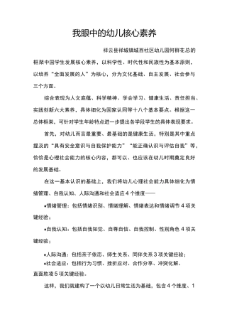 我眼中的幼儿教育核心素养