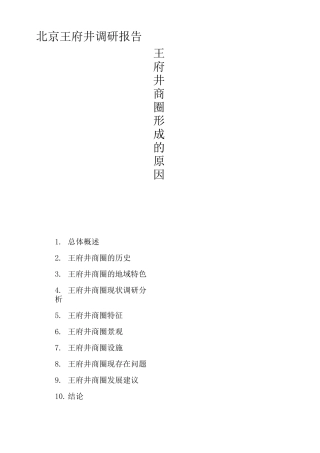 北京王府井调研报告