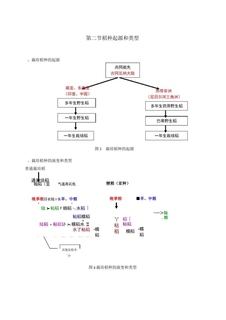 水稻栽培学讲义_第3页