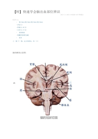 脑出血部位辨识汇总