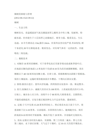 柳树的移植与管理
