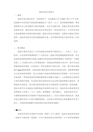 泡沫浮选分离技术讲解