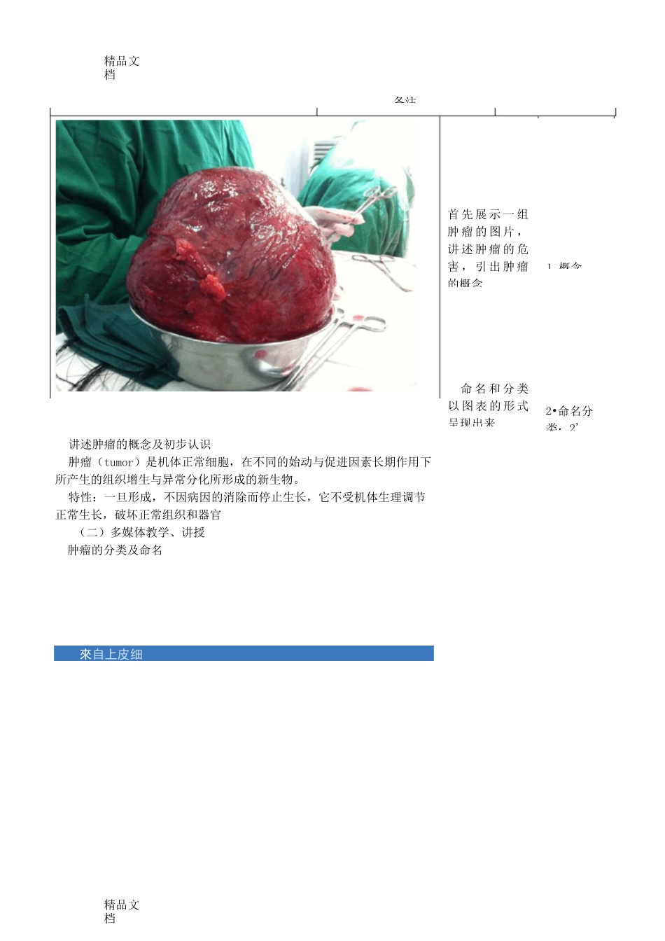 最新肿瘤教案_第3页