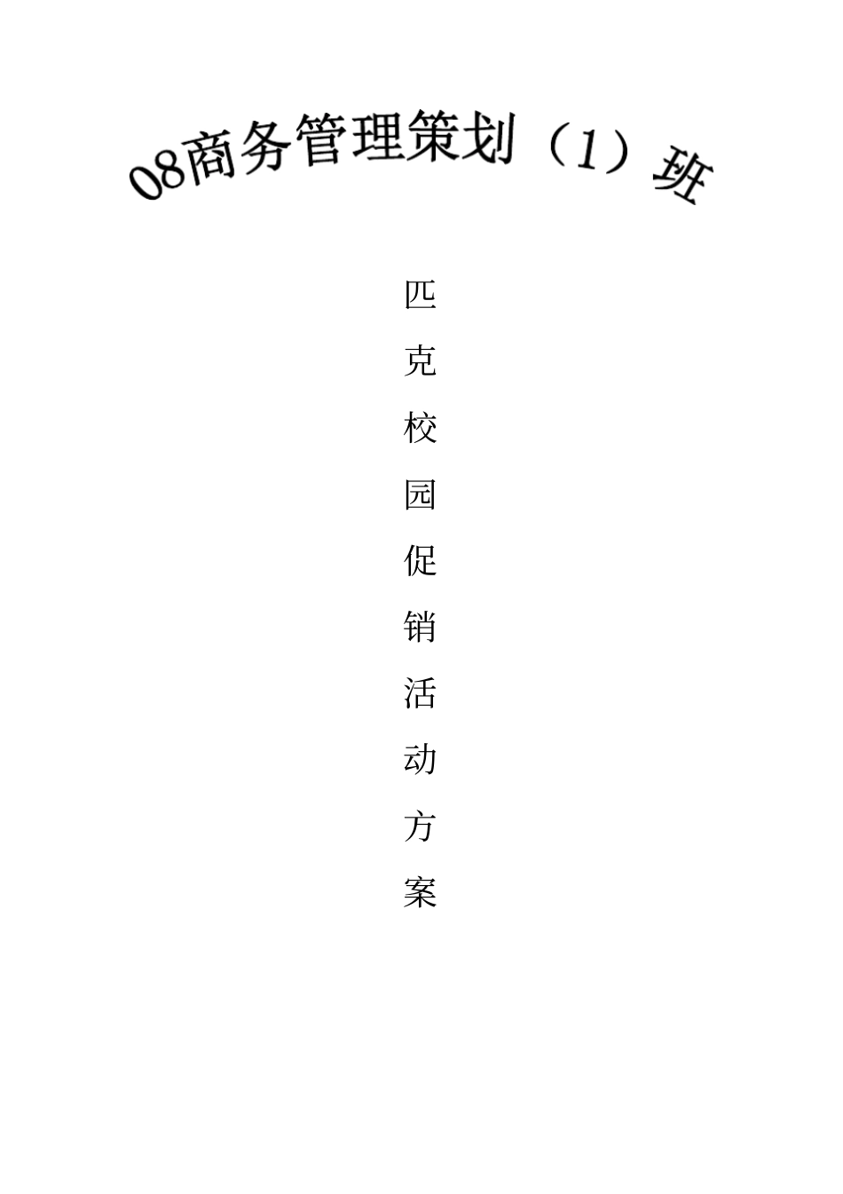 匹克球鞋促销策划方案_第1页