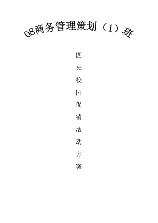 匹克球鞋促销策划方案