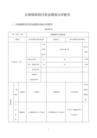 区级财政项目资金绩效自评报告