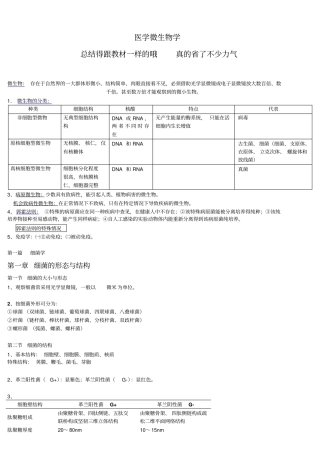 医学微生物学笔记总结得真的很好汇总
