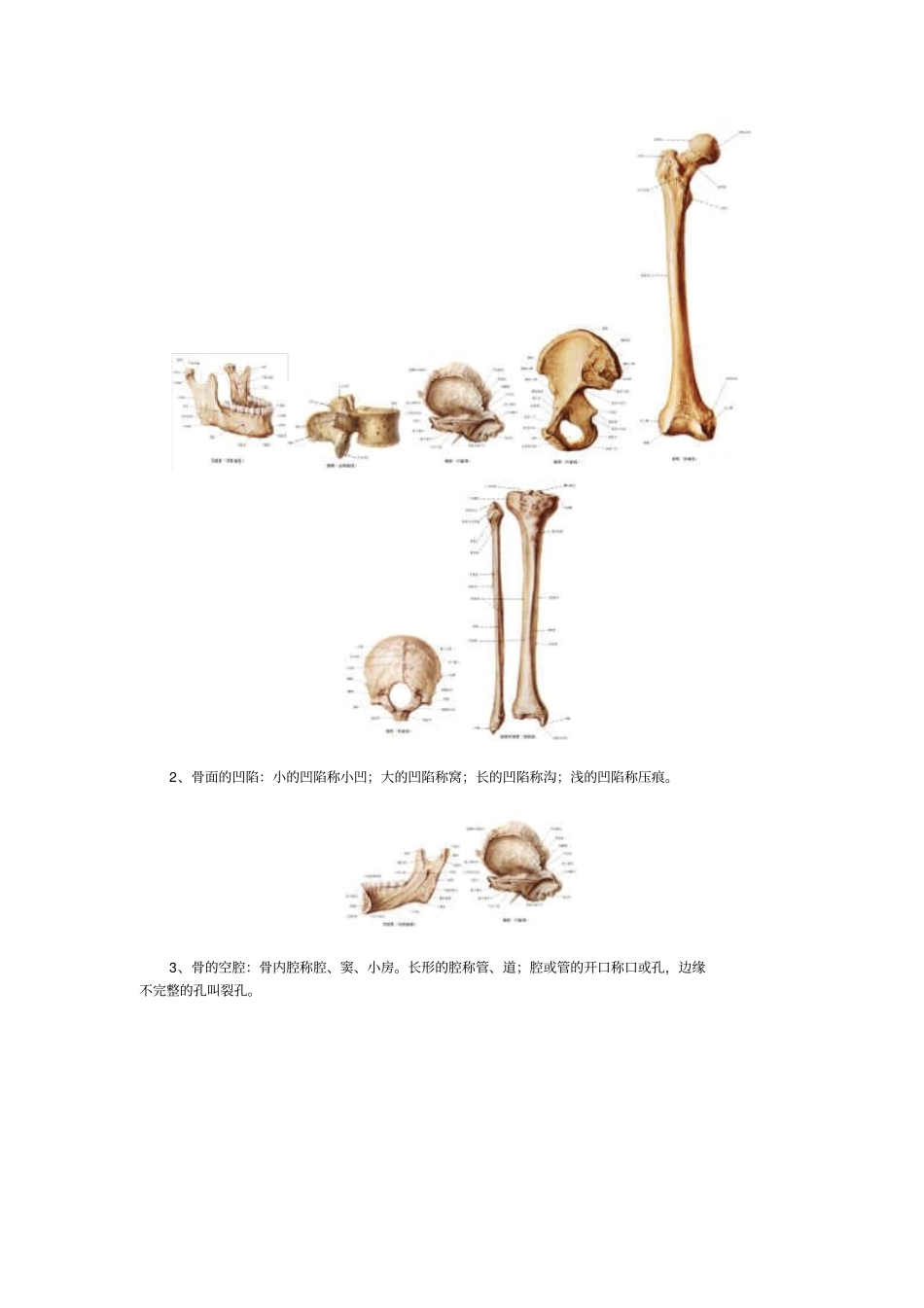医学院-文档_第3页