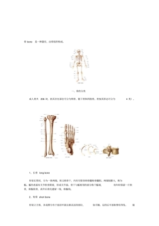 医学院-文档