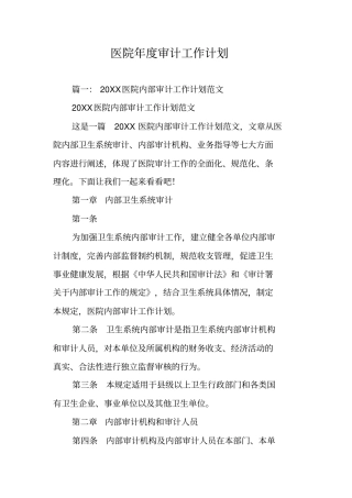 医院年审计工作计划