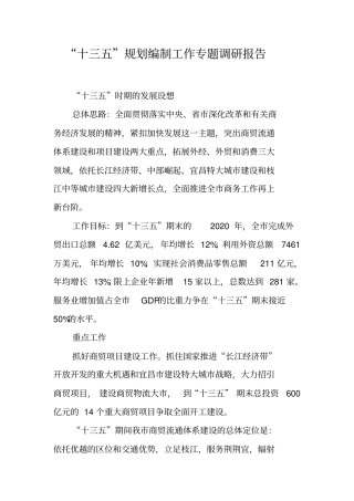 十三五规划编制工作专题调研报告【可编辑范文】