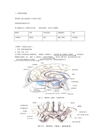 十二对脑神经整理版