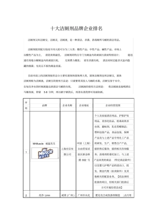 十大洁厕剂品牌企业排名