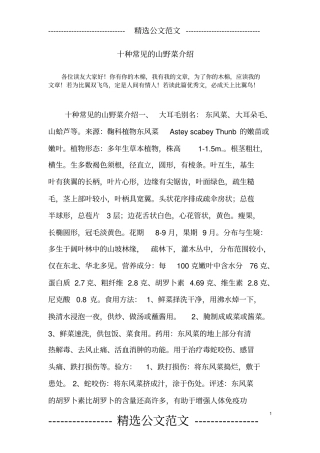 十种常见的山野菜介绍