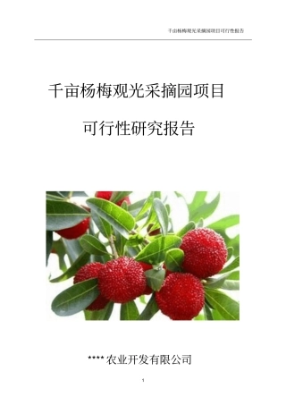 千亩杨梅观光采摘园项目可行性研究报告
