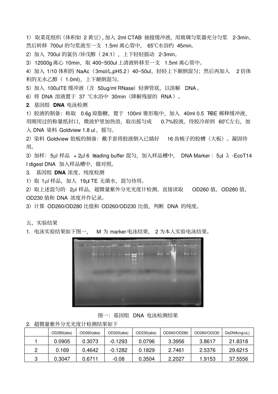 华南师范大学试验报告格式_第2页