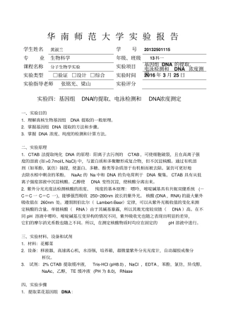 华南师范大学试验报告格式