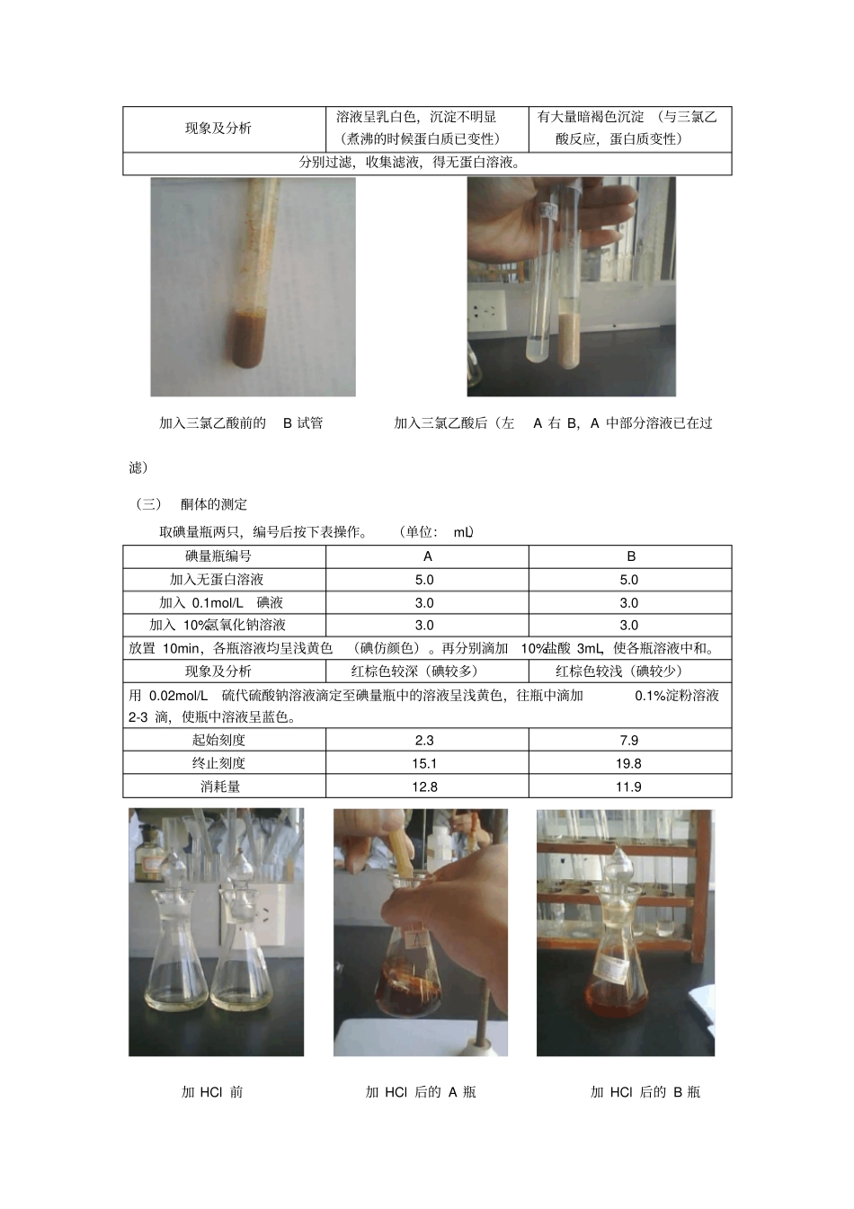 华南师范大学试验报告_第3页