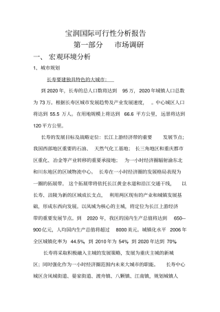 华国际可行性分析报告