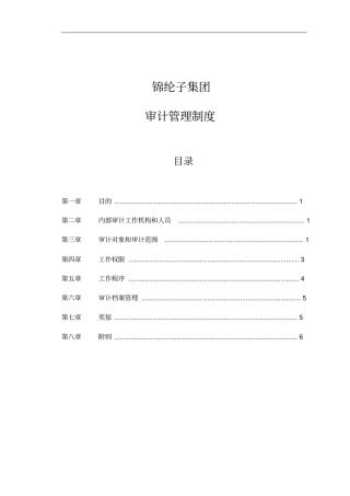 华彩咨询_xx集团锦纶子集团审计管理制度