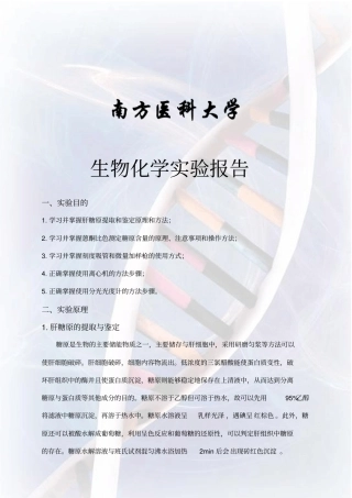 南医生化试验报告4讲解