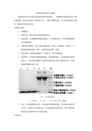 南开大学试验报告要求及评分标准