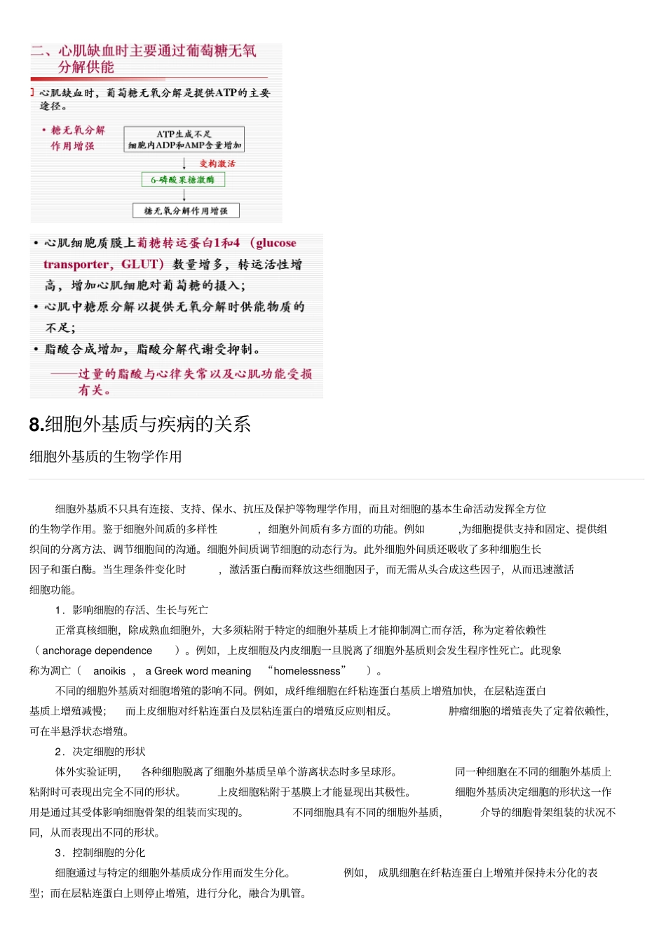 南开大学生物化学复习资料汇总_第3页