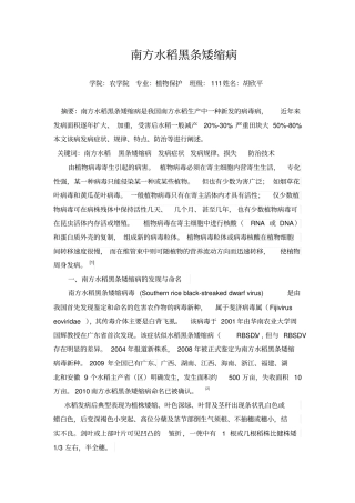 南方水稻黑条矮缩病汇编