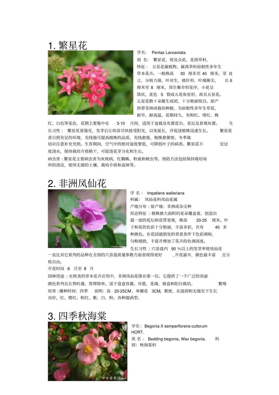 南方常见植物-时花_第2页