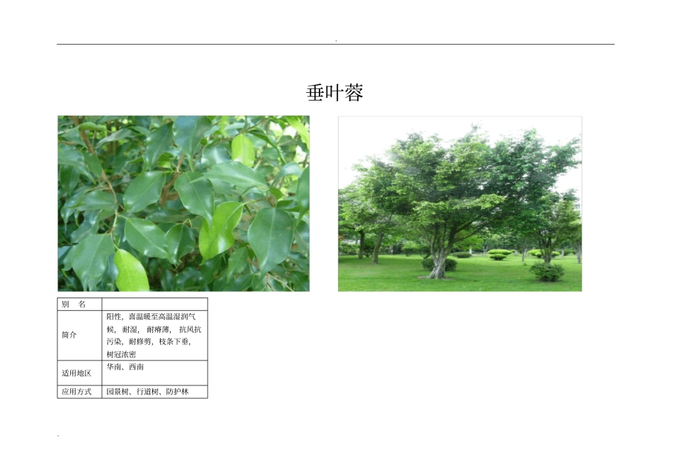 南方最常见常用的景观植物汇总_第2页