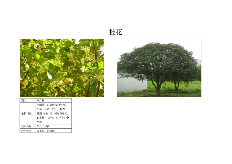 南方最常见常用的景观植物汇总_第3页