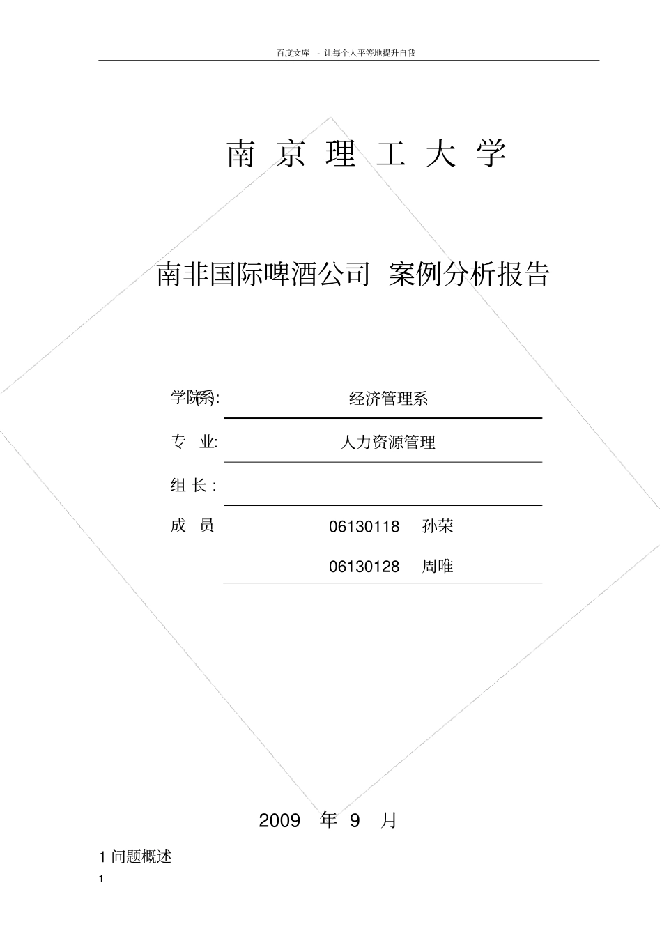 南非啤酒分析报告_第1页