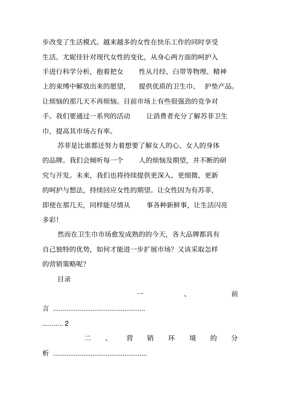 卫生巾的营销策划书_第2页