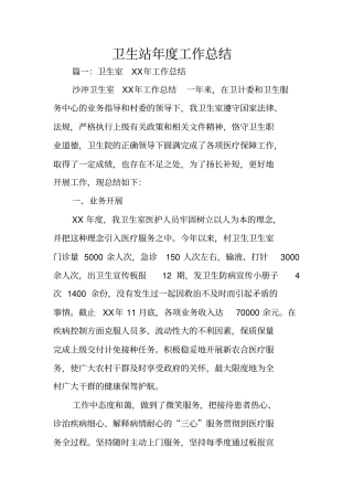 卫生站年工作总结