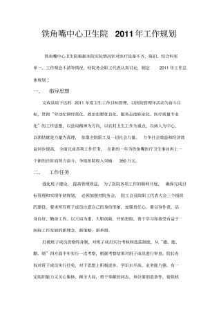 卫生院届工作规划